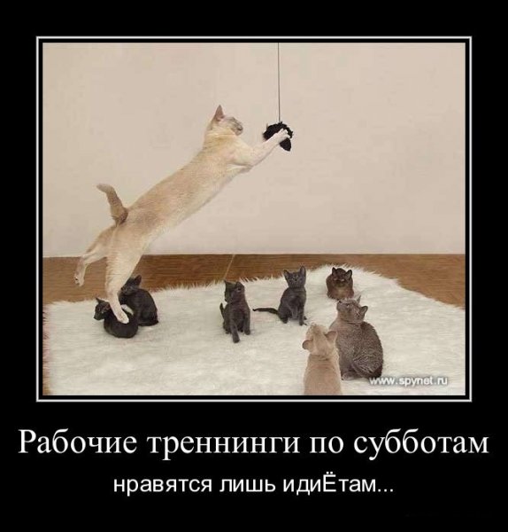 Суббота демотиватор