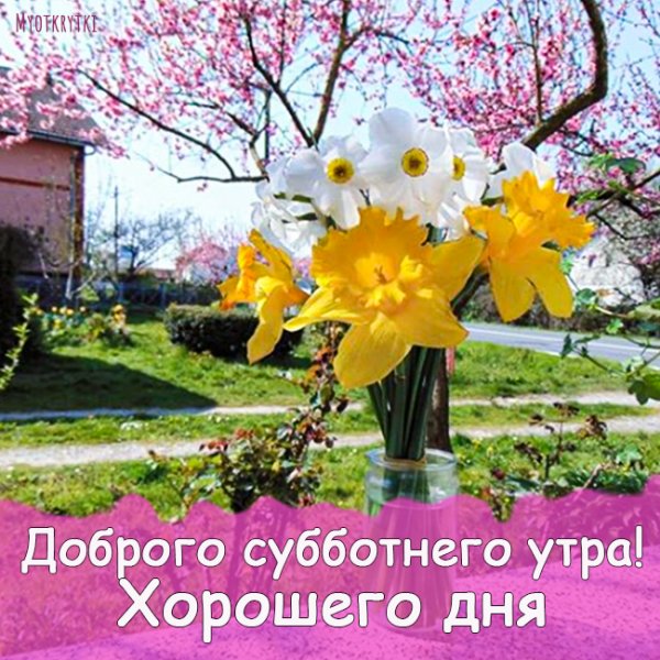 Доброе солнечное утро субботы
