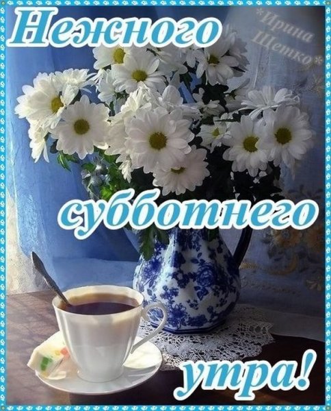 Ежик в цветах