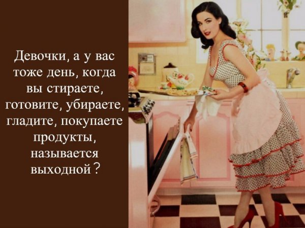 Высказывания о домохозяйках