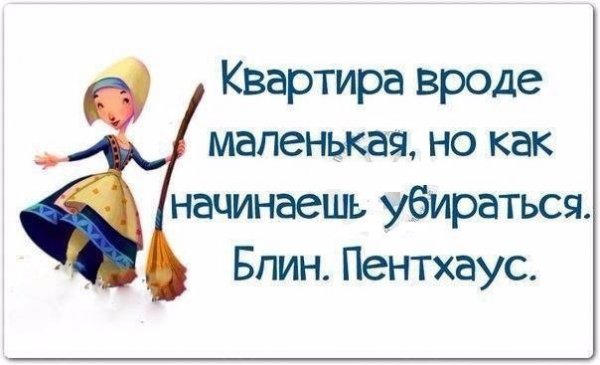 Смешные цитаты про уборку