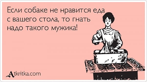 День когда вы стираете готовите