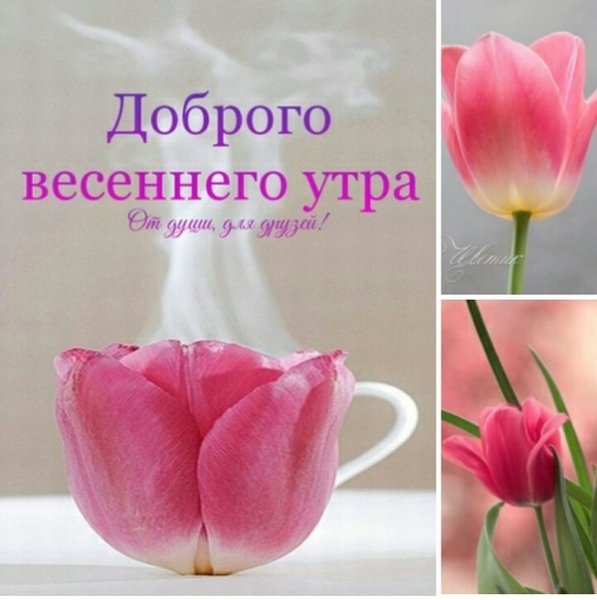 С добрым субботним ветренным утром