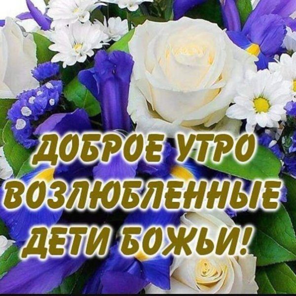 Доброго субботнего утра и хорошего дня православные