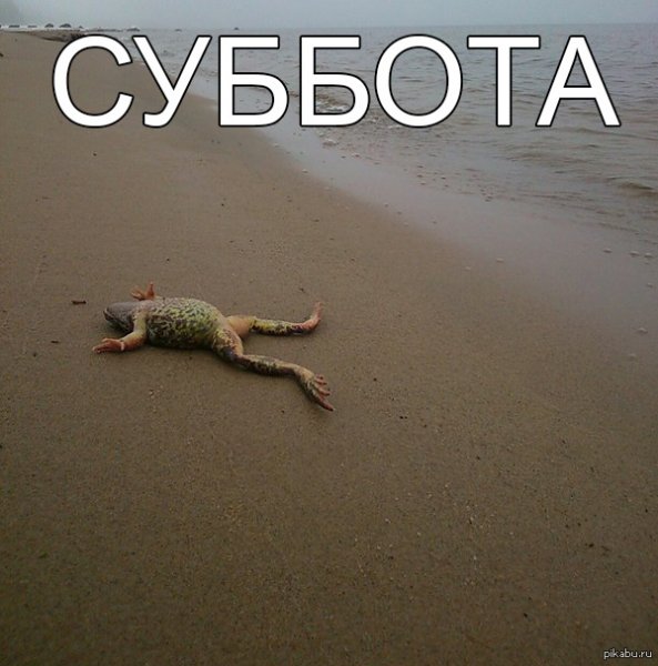 Ура суббота