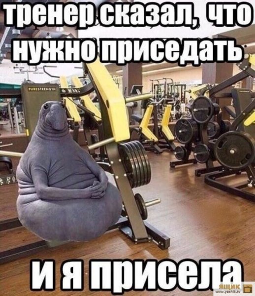 Шутки про спортзал