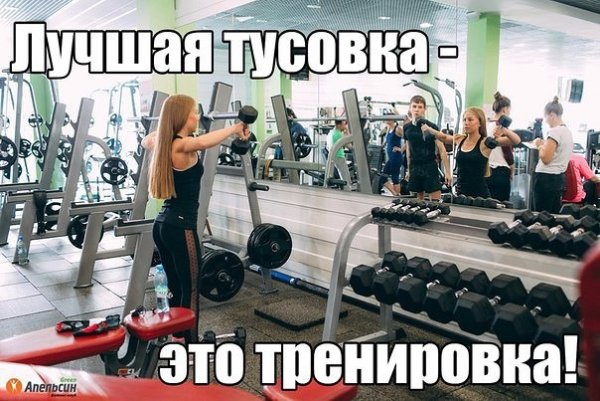 Приколы про тренировки