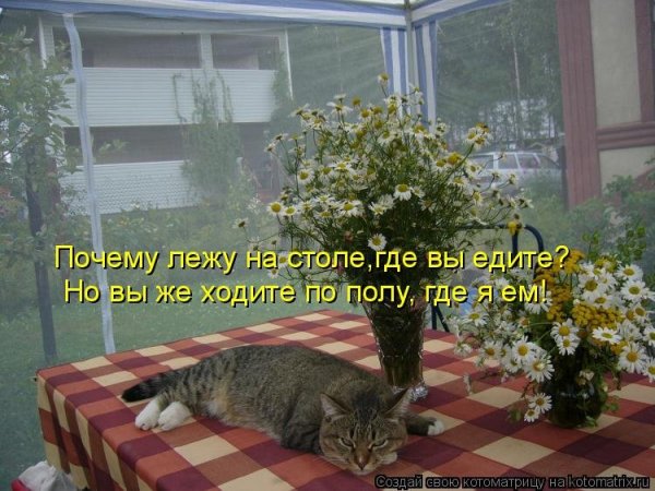 Хорошего отдыха на даче