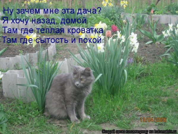 Весна пора на дачу