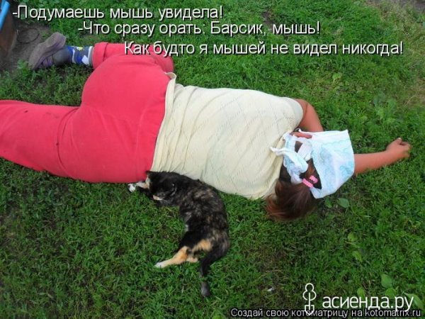 Копать картошку юмор