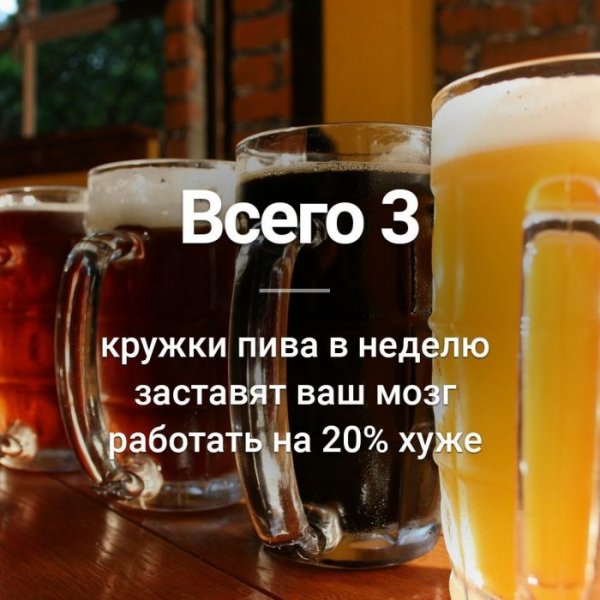 Цитаты про пиво