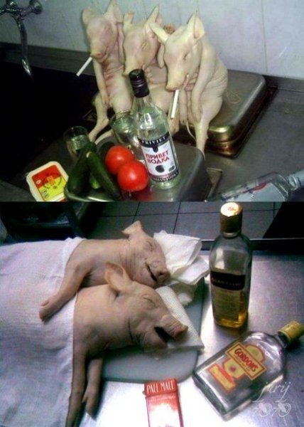 Открытка после выпивки