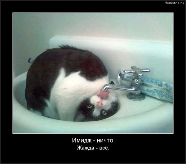 Субботние демотиваторы
