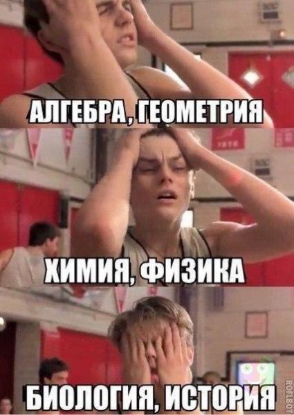 Дали зарплату картинки