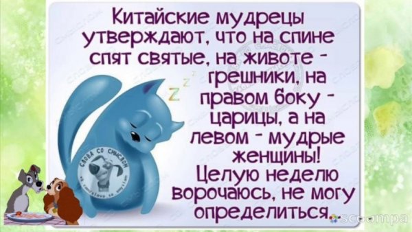 Субботний позитив в картинках