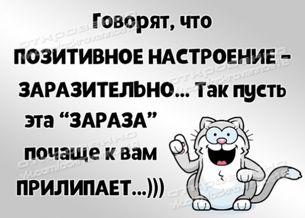 Суббота вечер прикольные