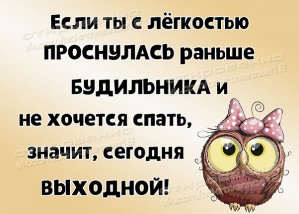 Доброе утро с собаками смешные