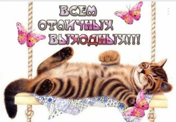 Субботушки беззаботной