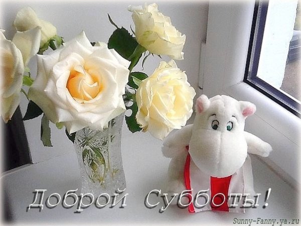 Суббота открытки красивые