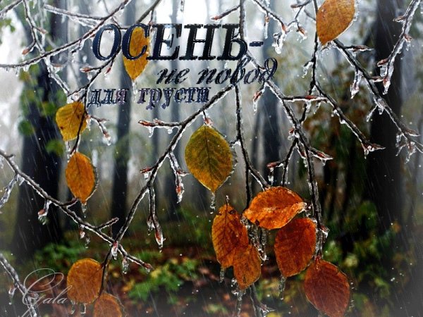 Открытки с последним днем осени