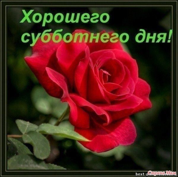 Хорошего субботнего дня