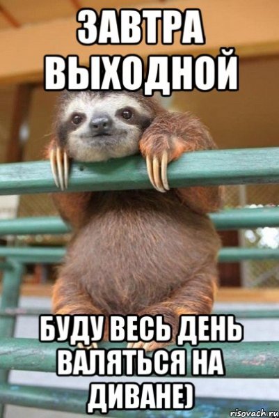 Завтра выходной
