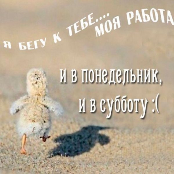 Поздравляю с рабочей субботой