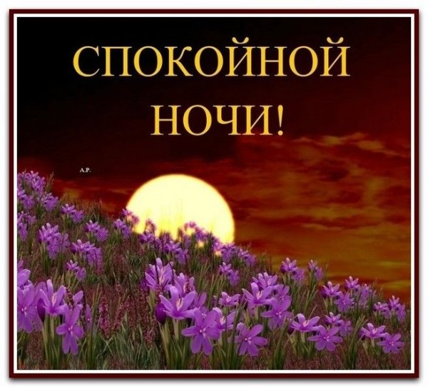 Спокойной ночи до завтра