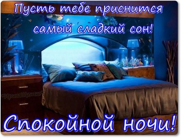 Спокойной ночи приятного отдыха