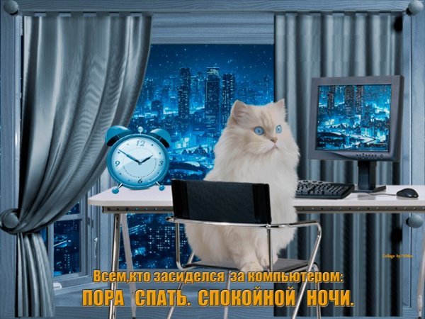 Доброго вечера и спокойного дежурства