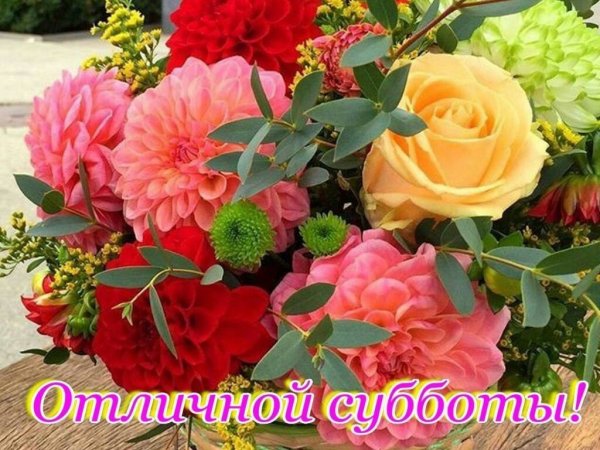 Хорошей субботы розы