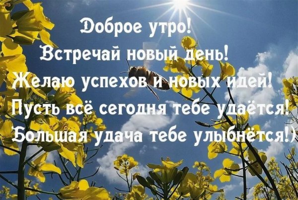 Пожелания с добрым субботним утром и хорошего дня