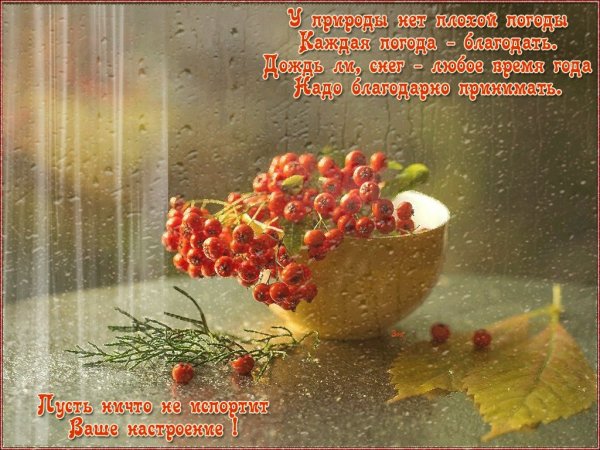 Ливень за окном