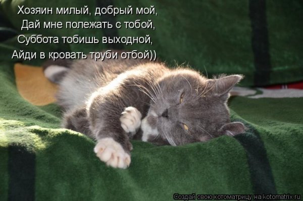 Отдохни милый