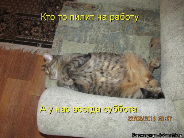 Кто-то пилит на работу а у нас всегда суббота