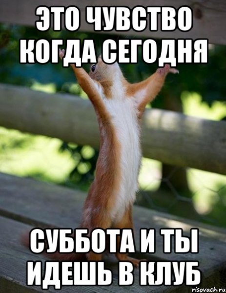 Суббота сегодня суббота