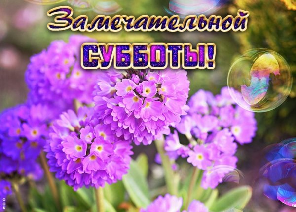 Пожелания замечательной субботы