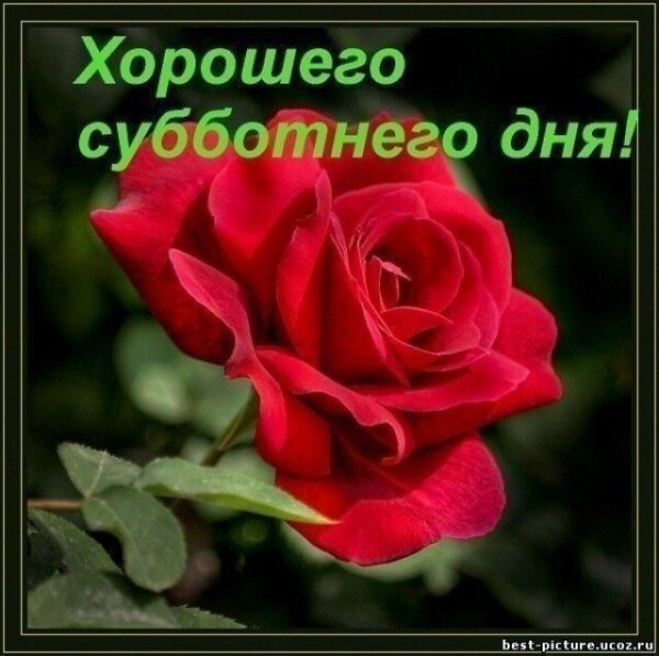 Открытки хорошей субботы