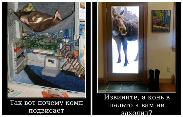 Суббота демотиватор