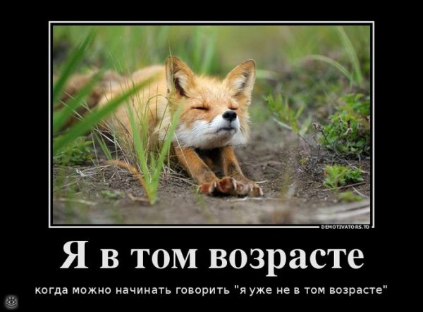 Демотиваторы с лисами