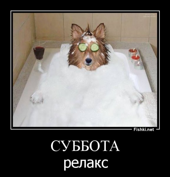 Вечер субботы демотиватор