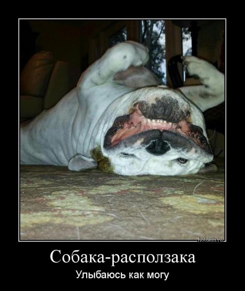 Суббота демотиватор