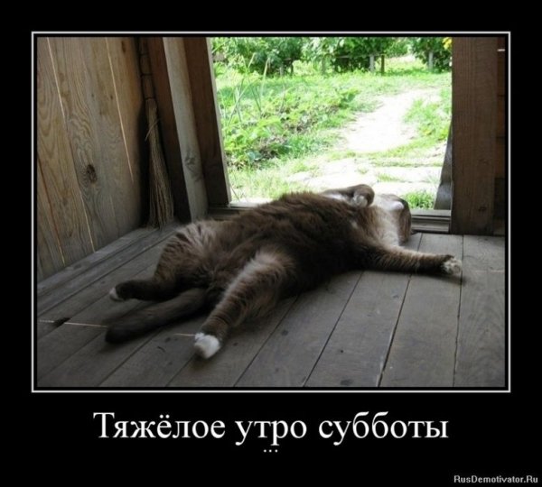Очень жаркая суббота