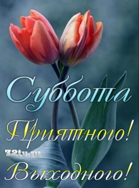 Открытки с добрым субботним днем