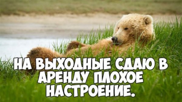 Суббота приколы