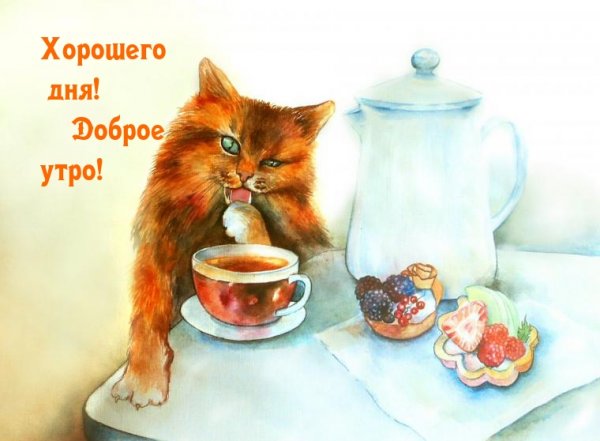 Чаепитие с котом
