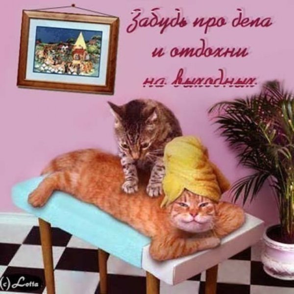 Открытки пора отдохнуть