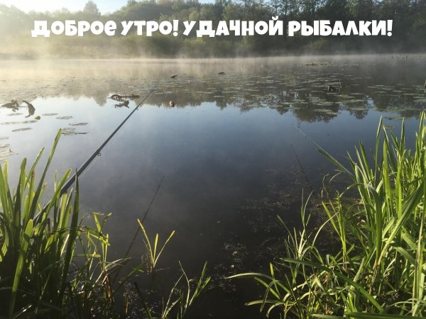 Доброе утро рыболов
