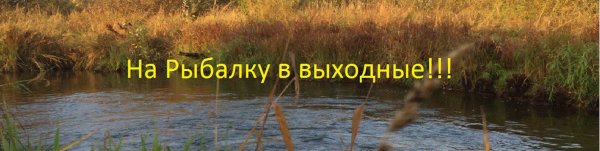 Выходные на рыбалке