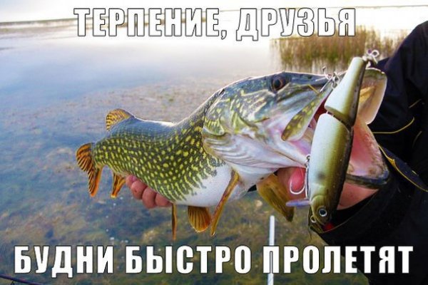 Доброе утро рыбаки